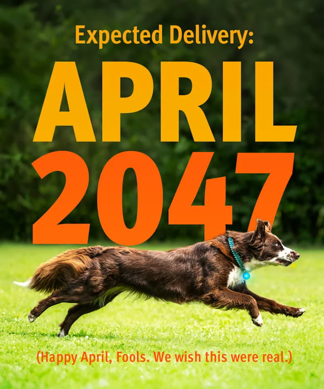 Preorder now for April 2047 delivery!