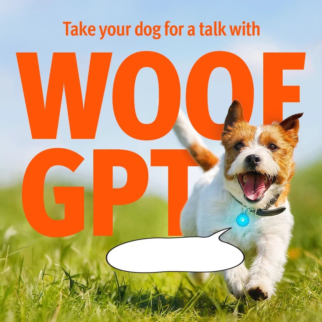 Talk to your dog with WOOF GPT