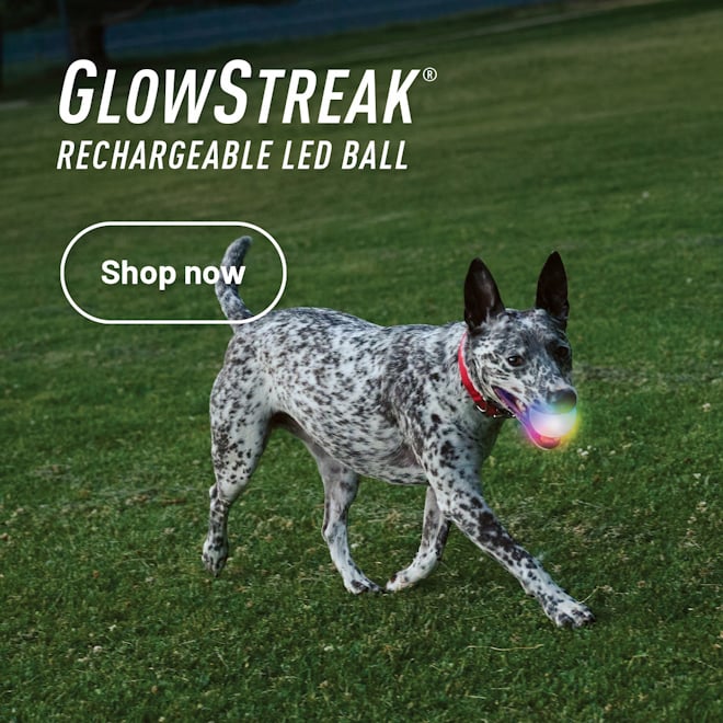 GlowStreak® Rechargeable LED Ball