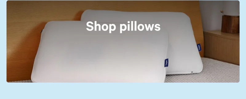 Shop pillows