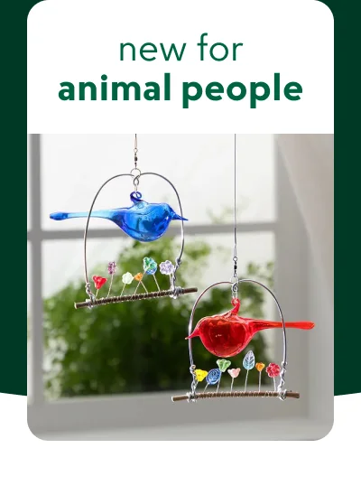 animals