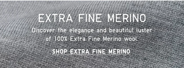 HEADER 1 - EXTRA FINE MERINO