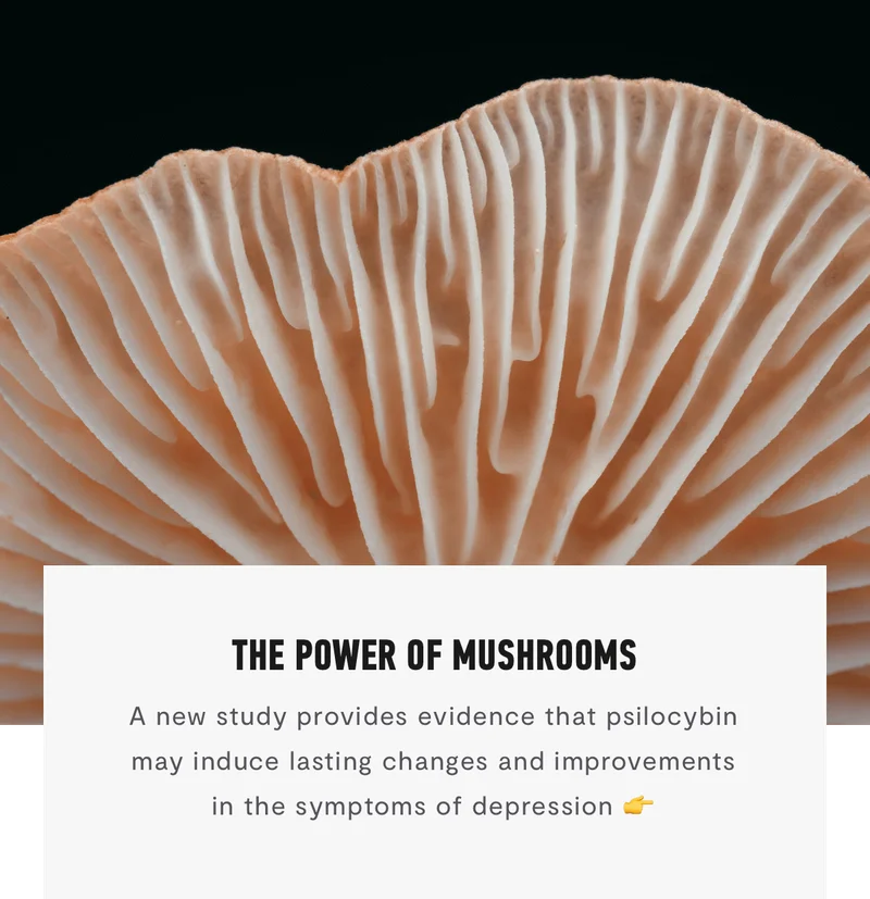 The Power Of Mushrooms
