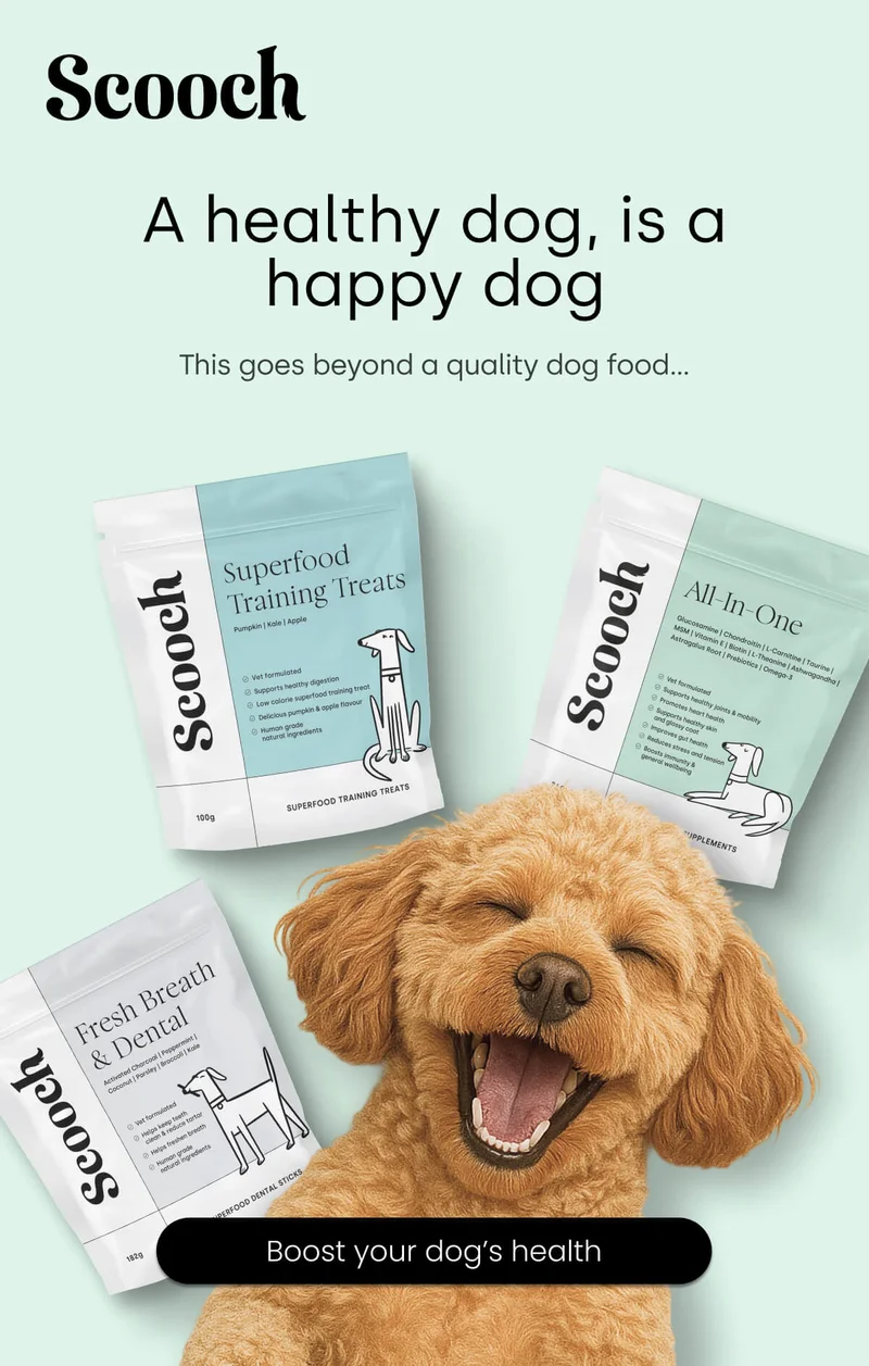 This goes beyond a quality dog food... - Boost your dog’s health