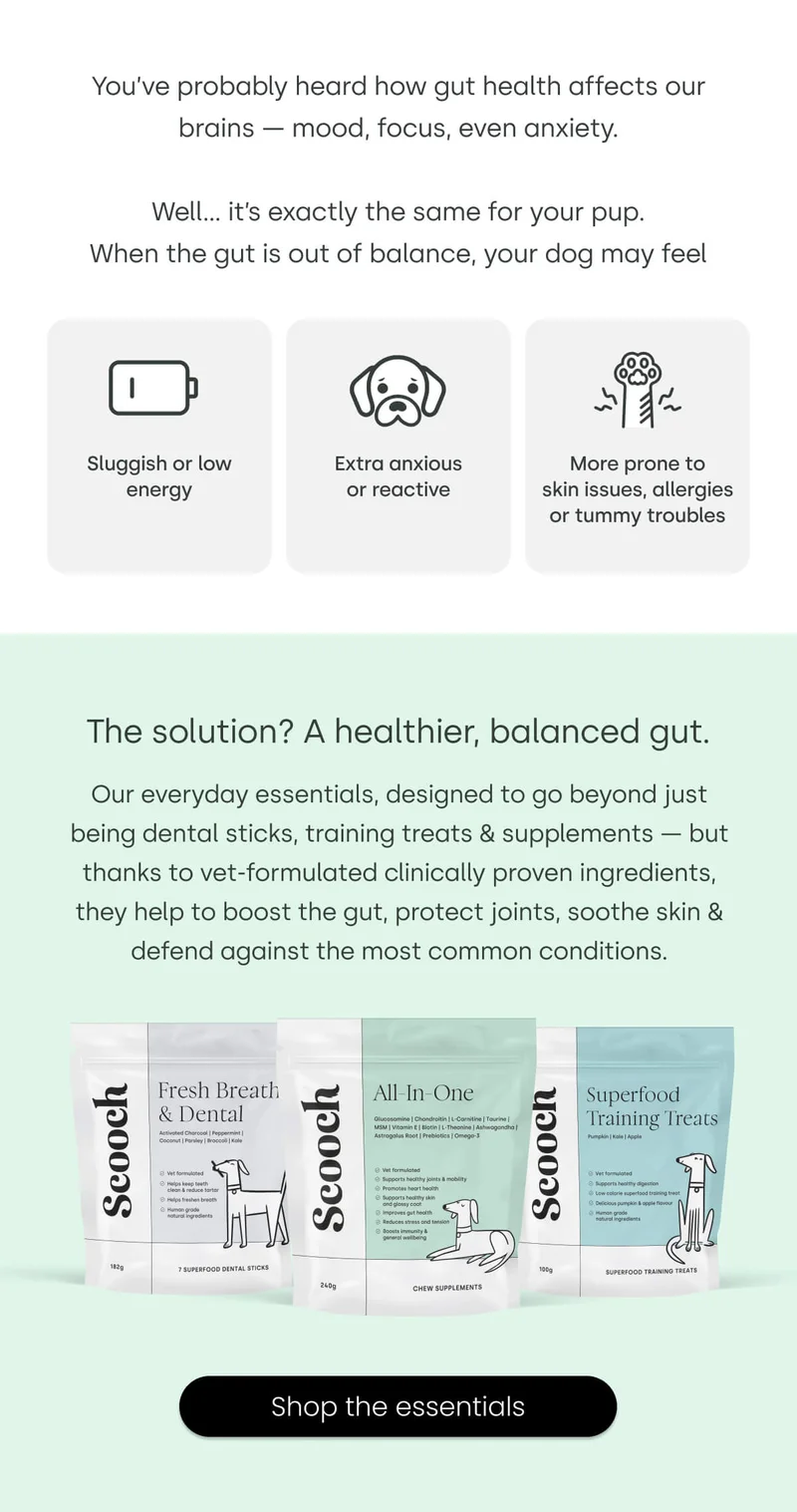 The solution? A healthier, balanced gut. - Shop the essentials
