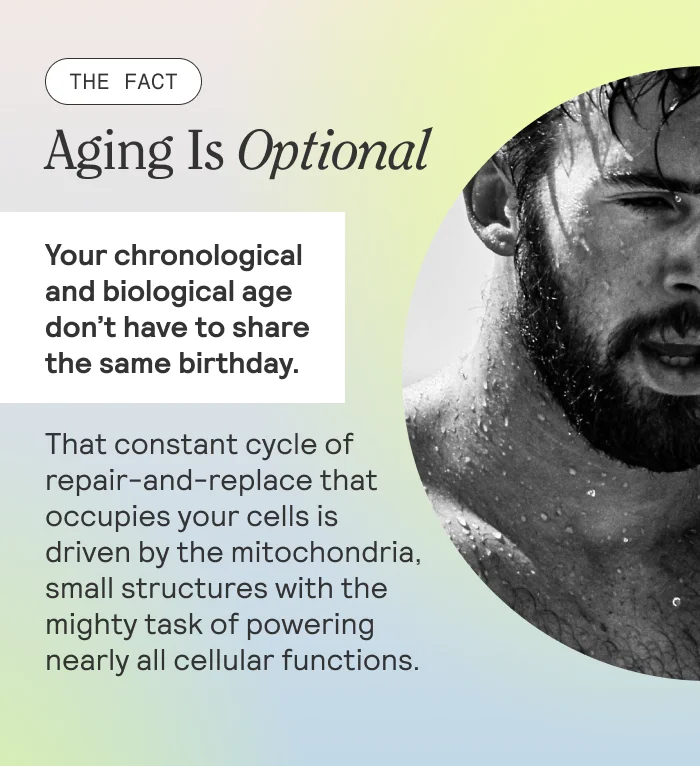THE FACT: Growing Young Is A Choice  Your chronological and biological age don’t have to share the same birthday.  That constant cycle of repair-and-replace that occupies your cells is driven by the mitochondria, small structures with the mighty task of powering nearly all cellular functions.