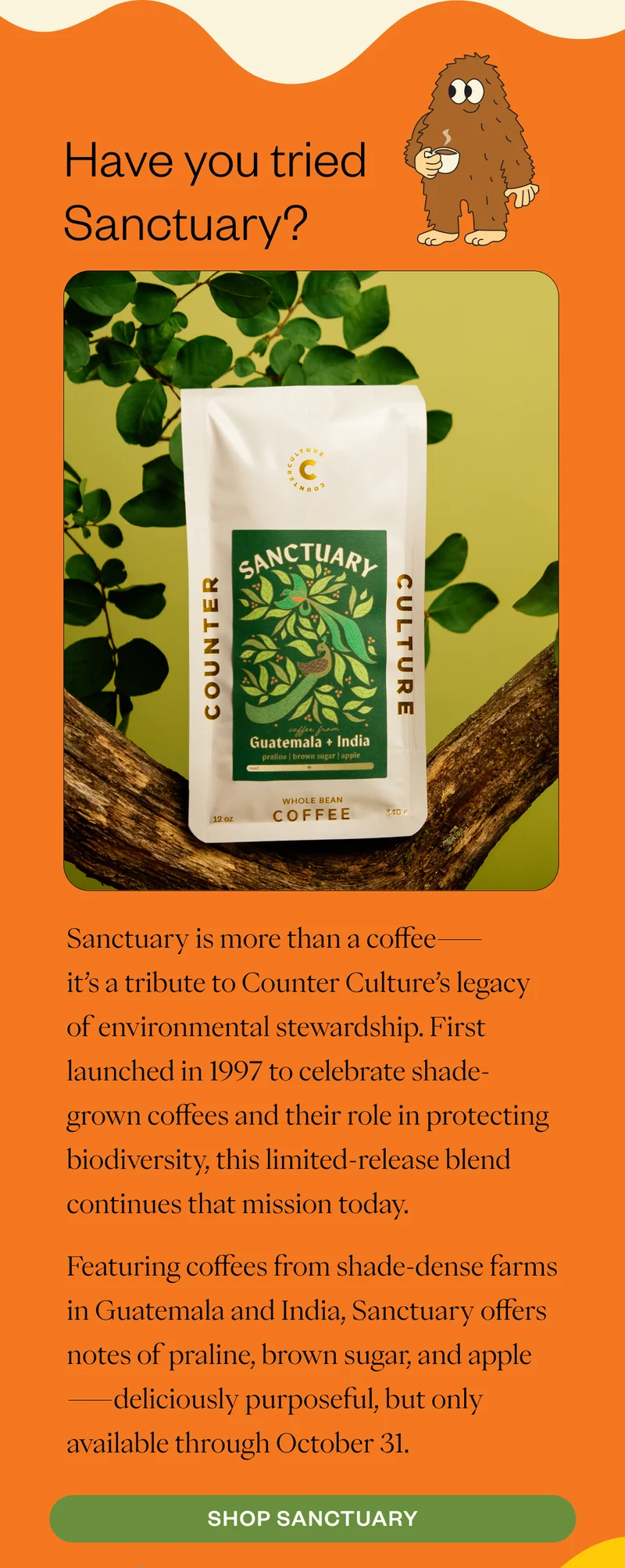 Have you tried Sanctuary? 🕊️  Sanctuary is more than a coffee—it’s a tribute to Counter Culture’s legacy of environmental stewardship. First launched in 1997 to celebrate shade-grown coffees and their role in protecting biodiversity, this limited-release blend continues that mission today. Featuring coffees from shade-dense farms in Guatemala and India, Sanctuary offers notes of praline, brown sugar, and apple—deliciously purposeful, but only available through October 31. CTA: Shop Sanctuary