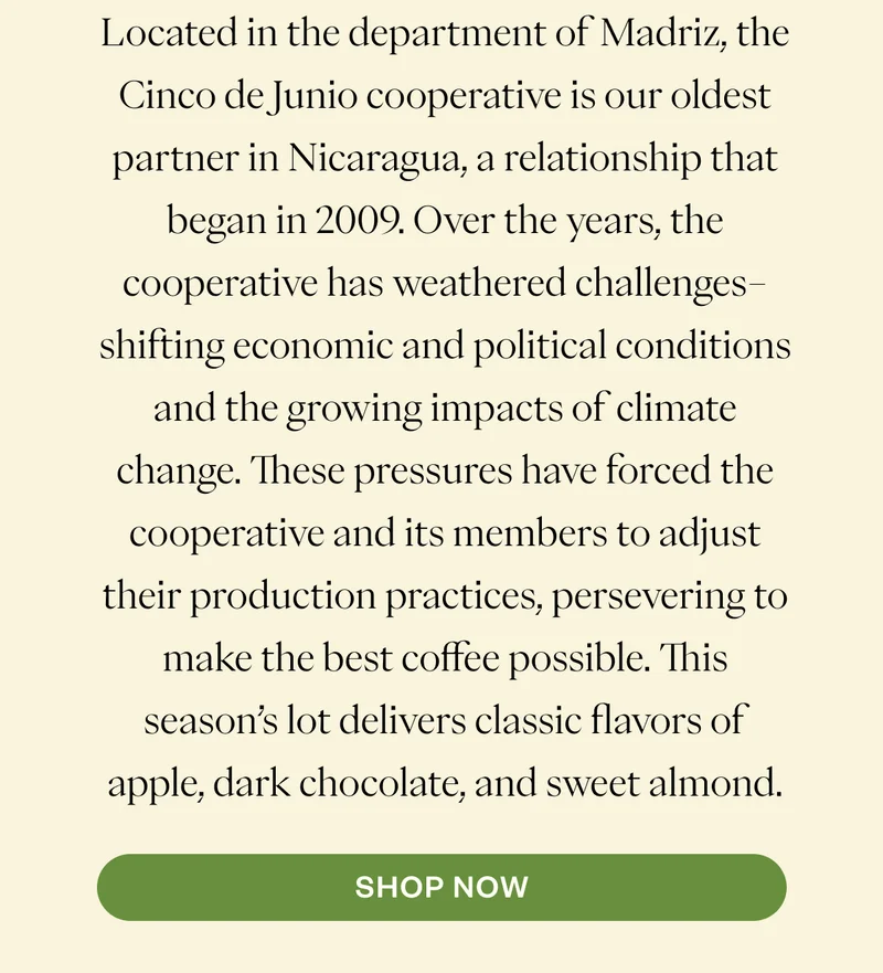 Located in the department of Madriz, the Cinco de Junio cooperative is our oldest partner in Nicaragua, a relationship that began in 2009. Over the years, the cooperative has weathered challenges–shifting economic and political conditions and the growing impacts of climate change. These pressures have forced the cooperative and its members to adjust their production practices, persevering to make the best coffee possible. This season’s lot delivers classic flavors of apple, dark chocolate, and sweet almond.