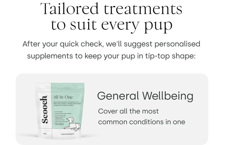 Tailored treatments to suit every pup - Shop All-In-One