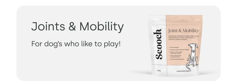 Tailored treatments to suit every pup - Shop Joint & Mobility