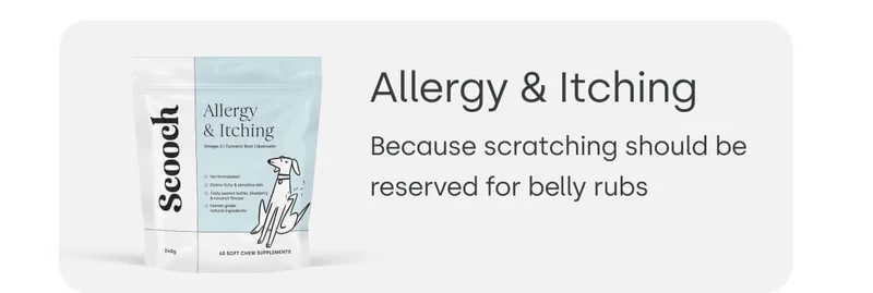 Tailored treatments to suit every pup - Shop Allergy & Itching