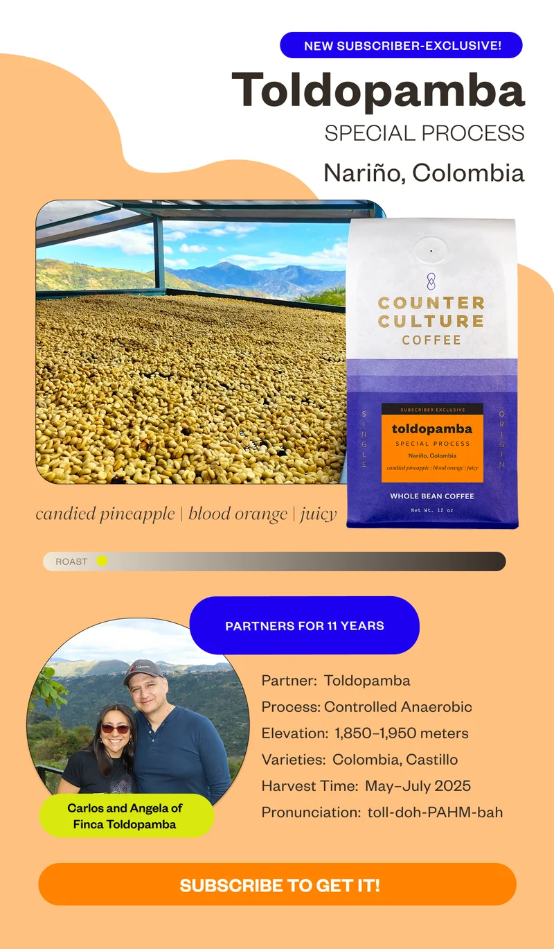 Subscriber Exclusive Toldopamba Special Proce Narino, Colombia candied pineaple blood orange juicy  partners for 11 yearsProcess: Controlled Anaerobic Elevation: 1,850-1,950 Varieties: Colombia, Castillo  Harvest Time: May-July 2025