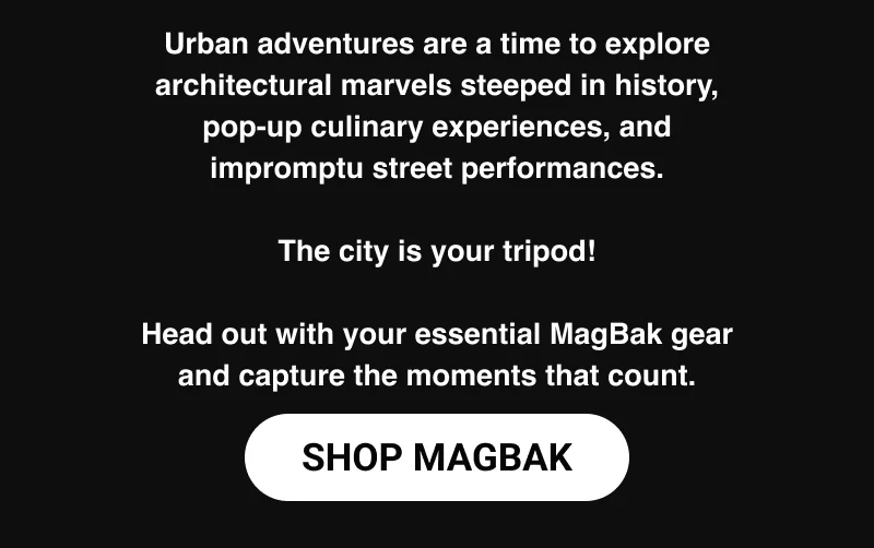 MagBak multi-charger