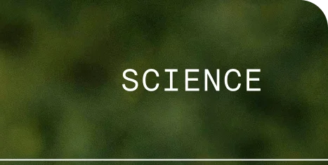 Science