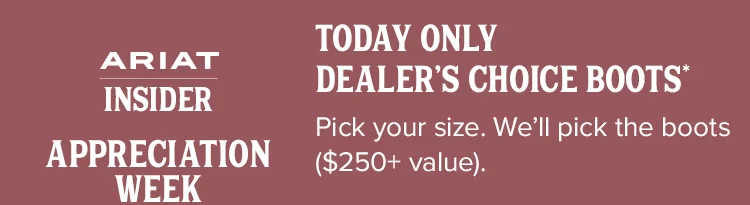 TODAY ONLY DEALER'S CHOICE BOOTS
