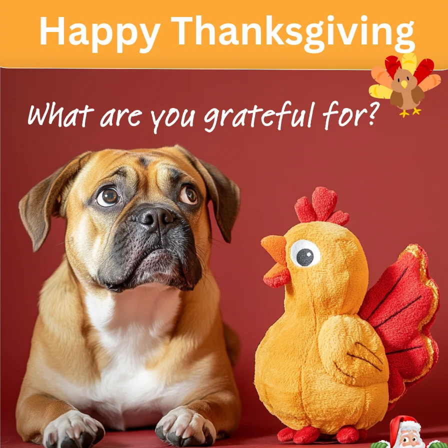 Happy Thanksgiving