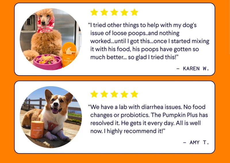 “I tried other things to help with my dog's issue of loose poops..and nothing worked...until I got this...once I started mixing it with his food, his poops have gotten so much better... so glad I tried this!” - Karen W. “We have a lab with diarrhea issues. No food changes or probiotics. The Pumpkin Plus has resolved it. He gets it every day. All is well now. I highly recommend it!” - Amy T.