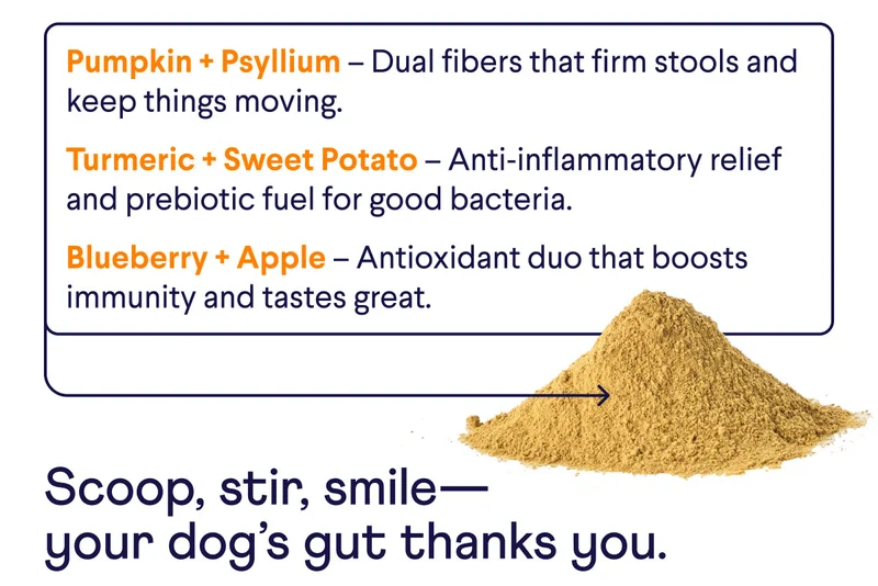 Pumpkin + Psyllium – Dual fibers that firm stools and keep things moving. Turmeric + Sweet Potato – Anti‑inflammatory relief and prebiotic fuel for good bacteria. Blueberry + Apple – Antioxidant duo that boosts immunity and tastes great. Scoop, stir, smile— your dog’s gut thanks you.