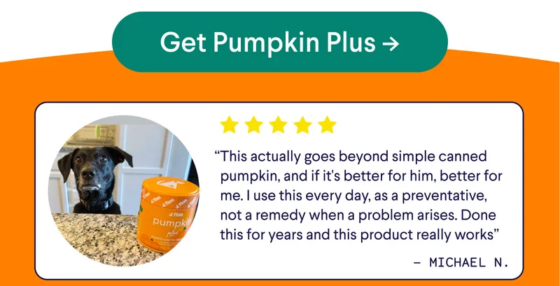 Get Pumpkin Plus -> “This actually goes beyond simple canned pumpkin, and if it's better for him, better for me. I use this every day, as a preventative, not a remedy when a problem arises. Done this for years and this product really works” - Michael N.