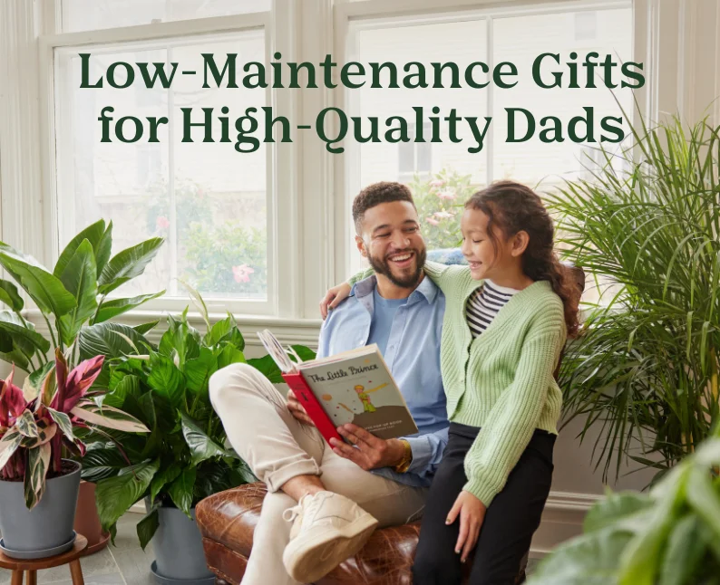low-maintenance gifts for high-quality dads