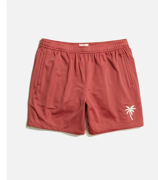 6" Mesh Short