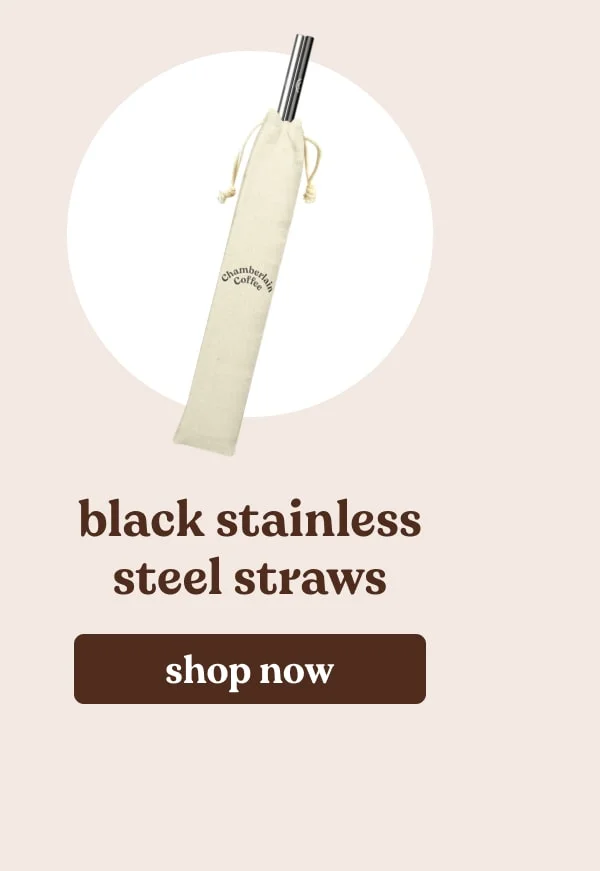 stainless steel straws