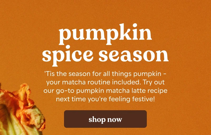 free shipping on all orders