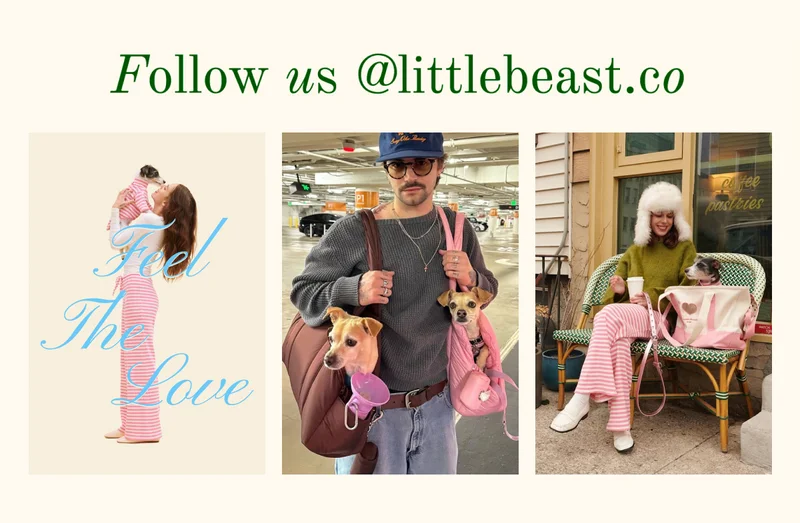 Follow us on Instagram