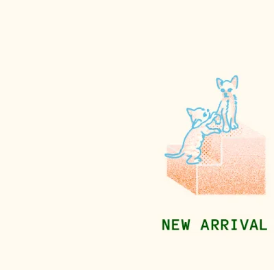 New Arrival