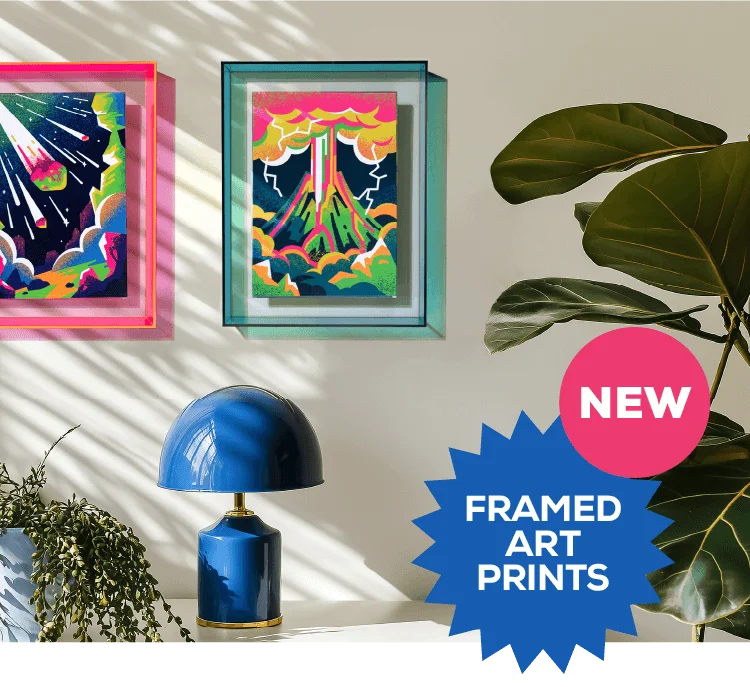 New Framed Art Prints