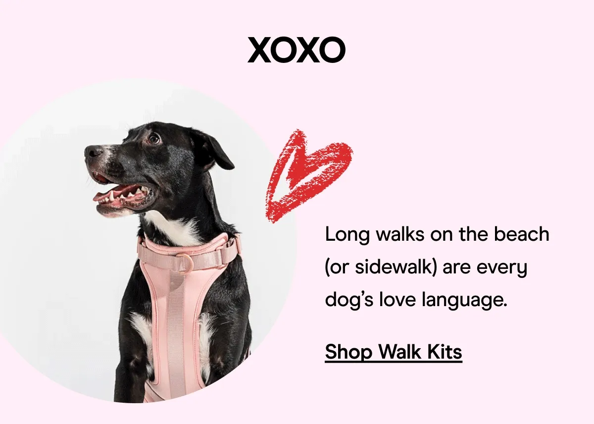 Walk Kits