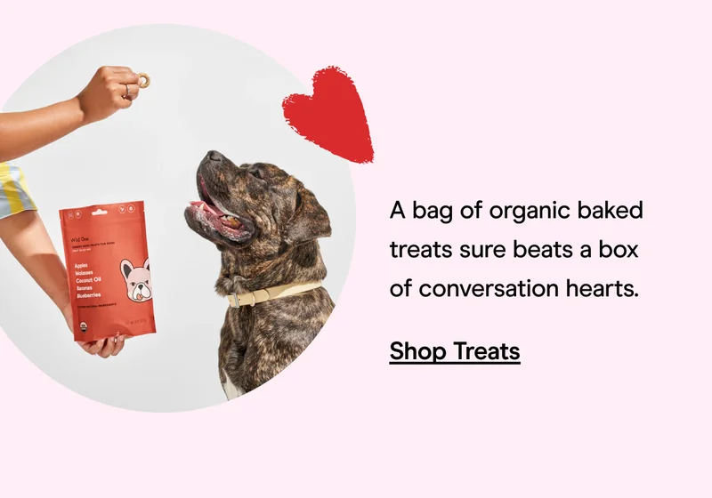 Shop Treats