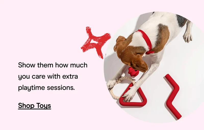 Shop Toys