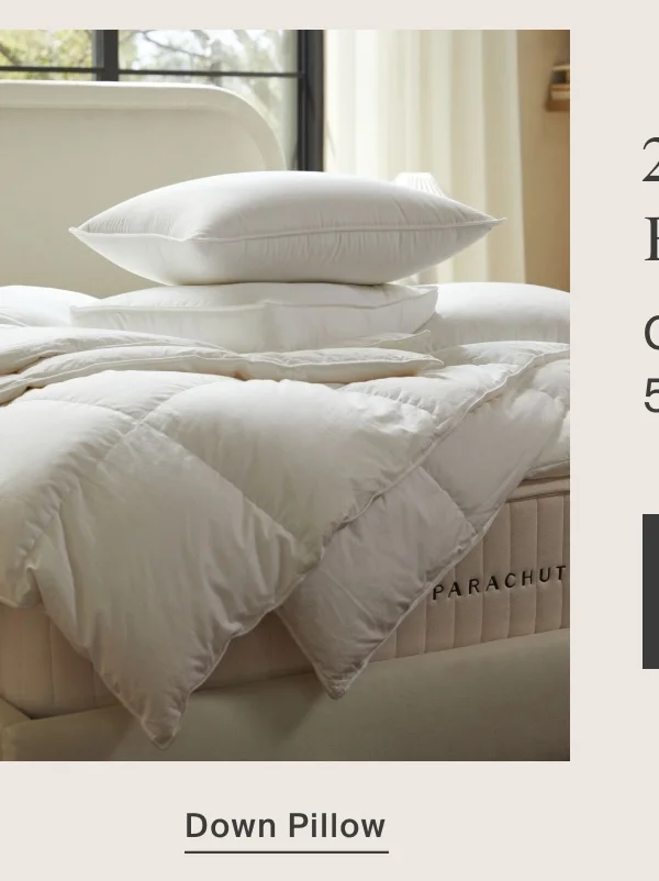 Save on the Down Pillow