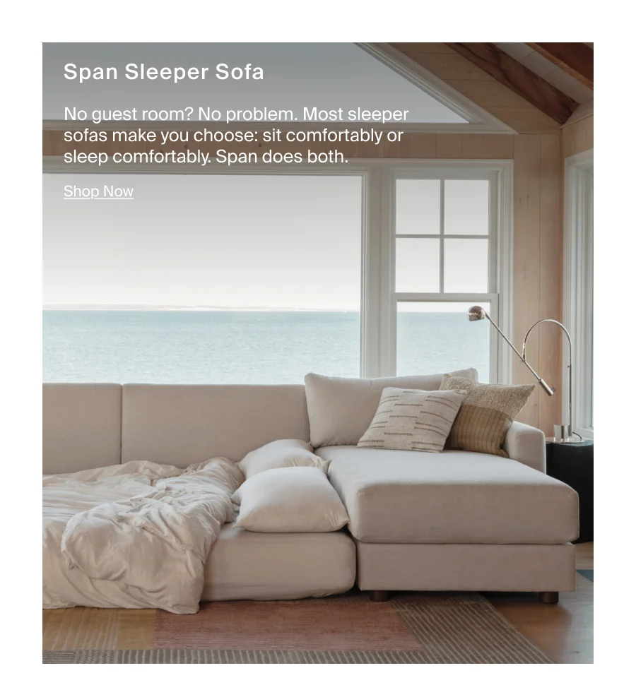 Span Sleeper Sofa