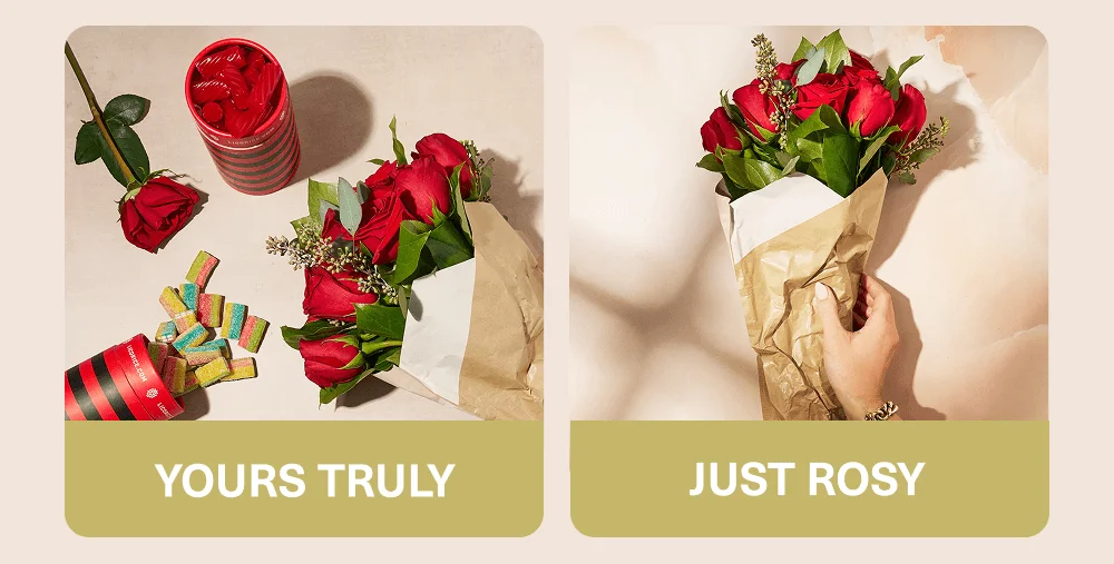 Bites & Bloom Collection