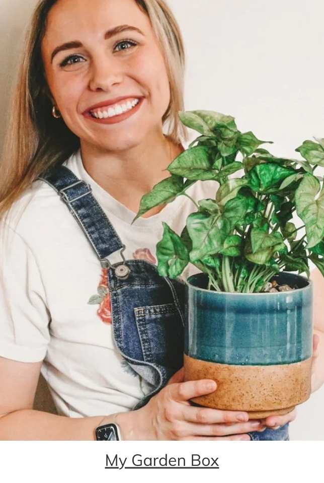 My Garden Box