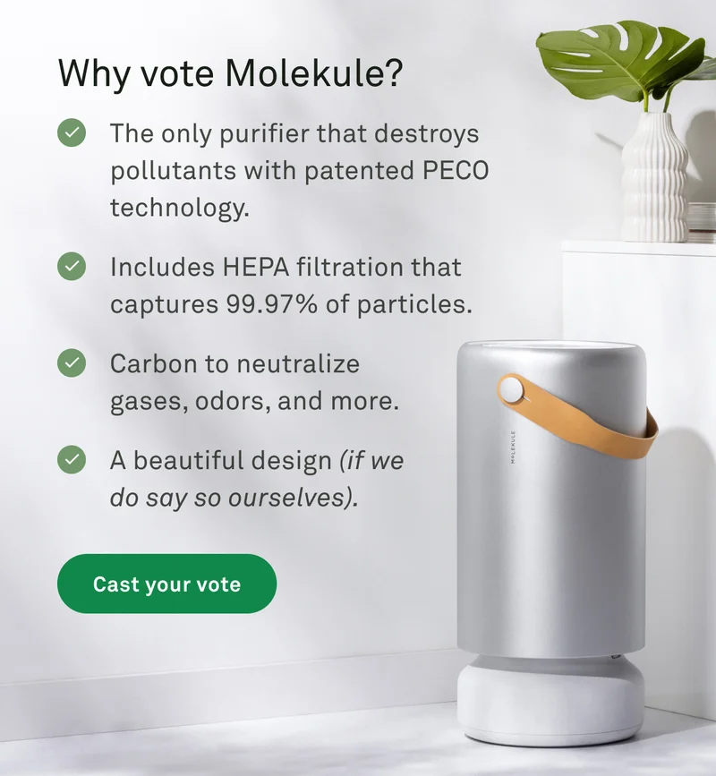 Why vote Molekule?