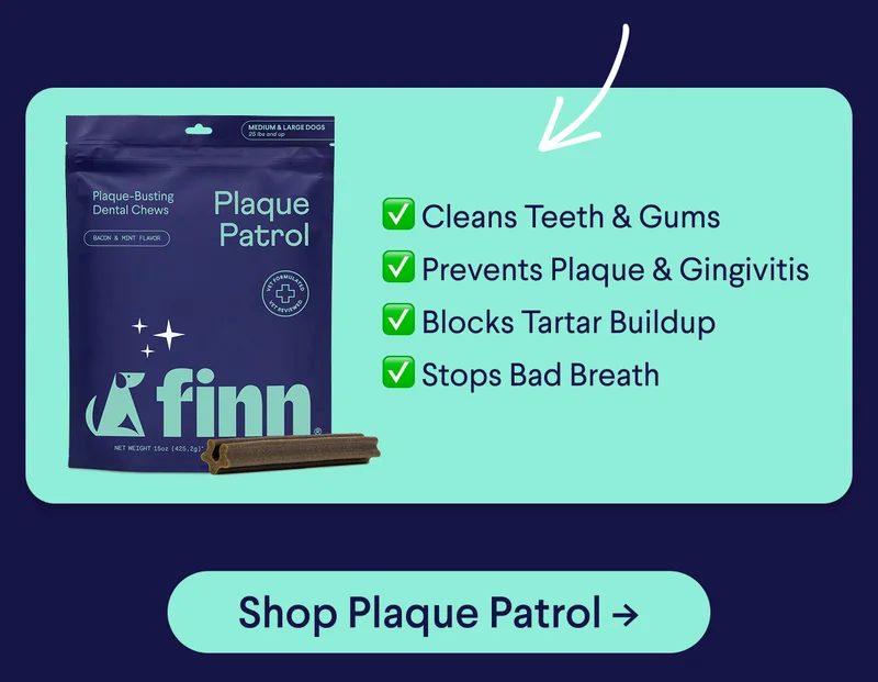 Plaque Patrol Chews: ✅ Cleans Teeth & Gums ✅ Prevents Plaque & Gingivitis ✅ Blocks Tartar Buildup ✅ Stops Bad Breath | Shop Plaque Patrol ->