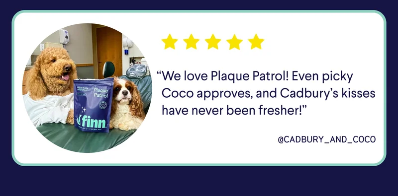 “We love Plaque Patrol! Even picky Coco approves, and Cadbury’s kisses have never been fresher!” @cadbury_and_coco
