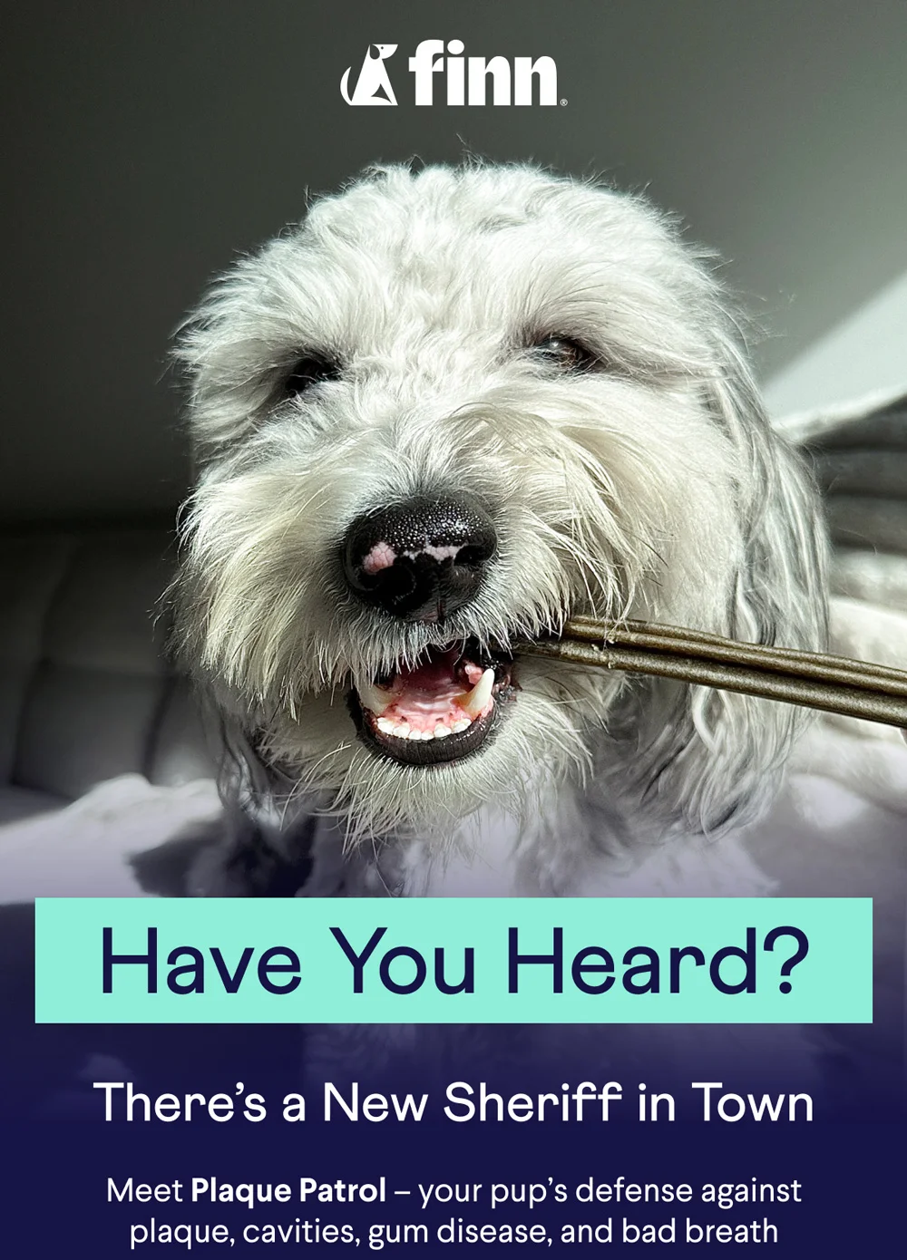 Have You Heard? There’s a New Sheriff in Town Meet Plaque Patrol –&nbsp;your pup’s defense against plaque, cavities, gum disease, and bad breath