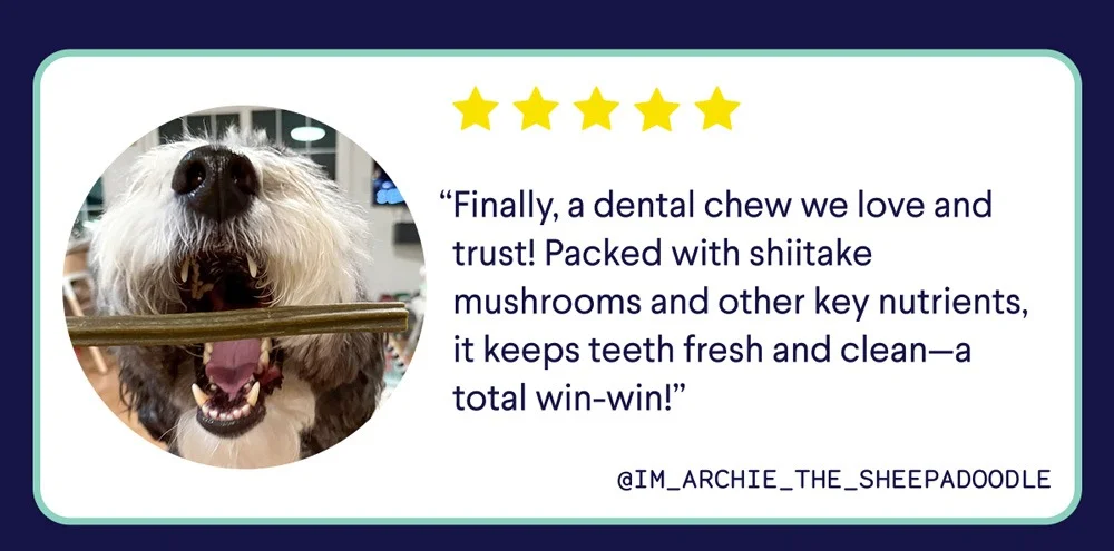 “Finally, a dental chew we love and trust! Packed with shiitake mushrooms and other key nutrients, it keeps teeth fresh and clean—a total win-win!” @im_archie_the_sheepadoodle