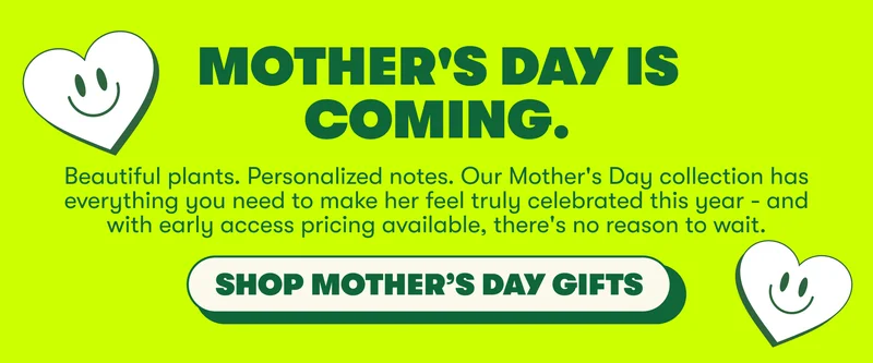 Shop Mother's Day Sale