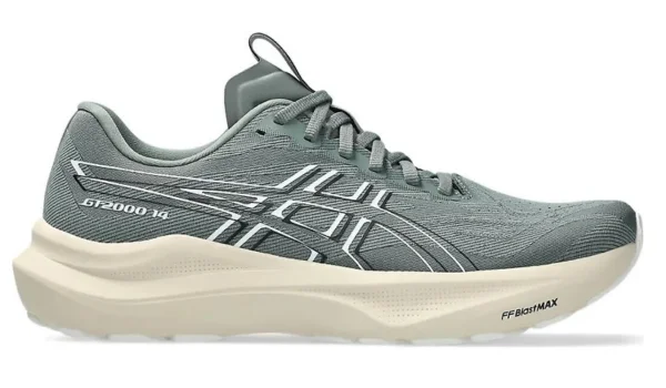 Men's ASICS GT-2000 v14