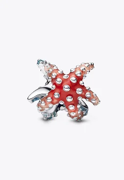 Colourful Starfish Mini Charm
