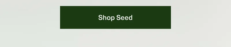 Shop Seed