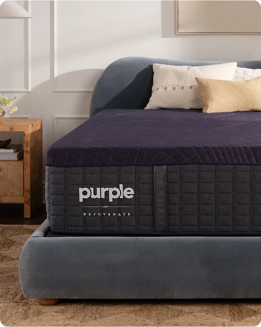 PLUSH DREAMLAYER<sup style='font-weight:normal;font-size:70%;line-height:1px;'>™</sup> TECH