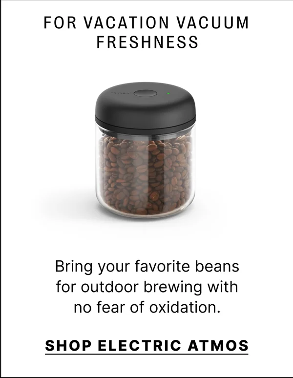 For Vacation Vacuum Freshness - Shop Electric Atmos