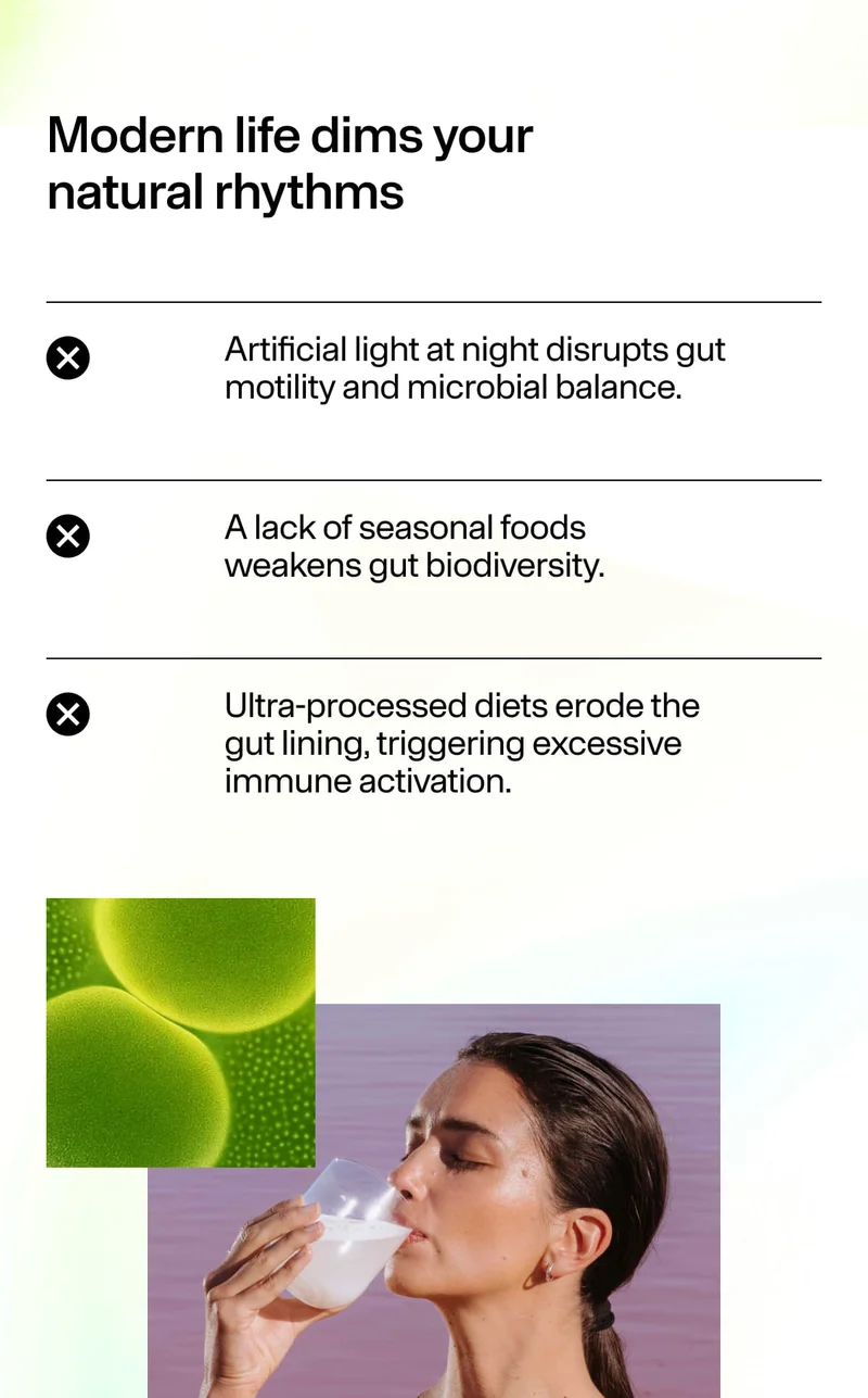 Modern life dims your natural rhythms Artificial light at night disrupts gut motility and microbial balance. A lack of seasonal foods weakens gut biodiversity. Ultra-processed diets erode the gut lining… Includes microbe graphic and woman drinking.