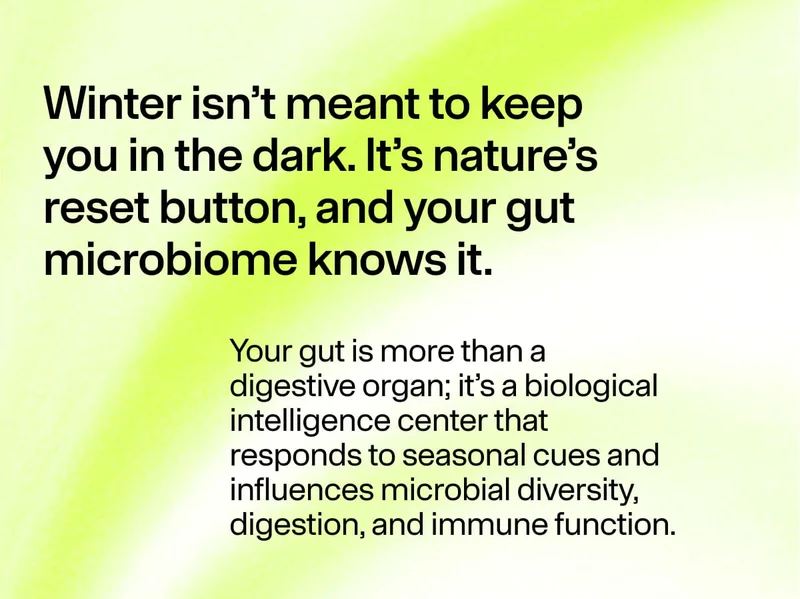 Winter isn’t meant to keep you in the dark. It’s nature’s reset button, and your gut microbiome knows it. Your gut is more than a digestive organ; it’s a biological intelligence center…
